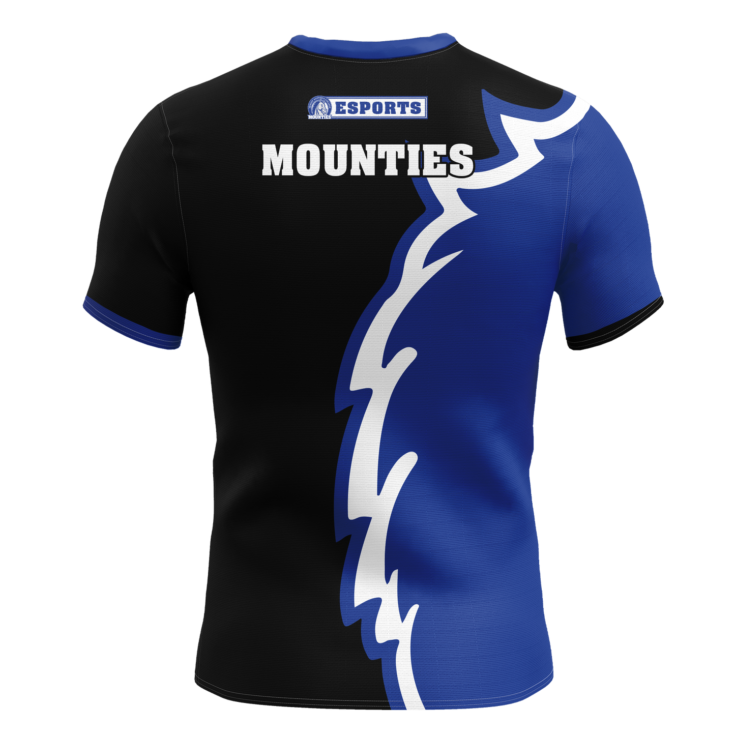 Mount Aloysius Jersey