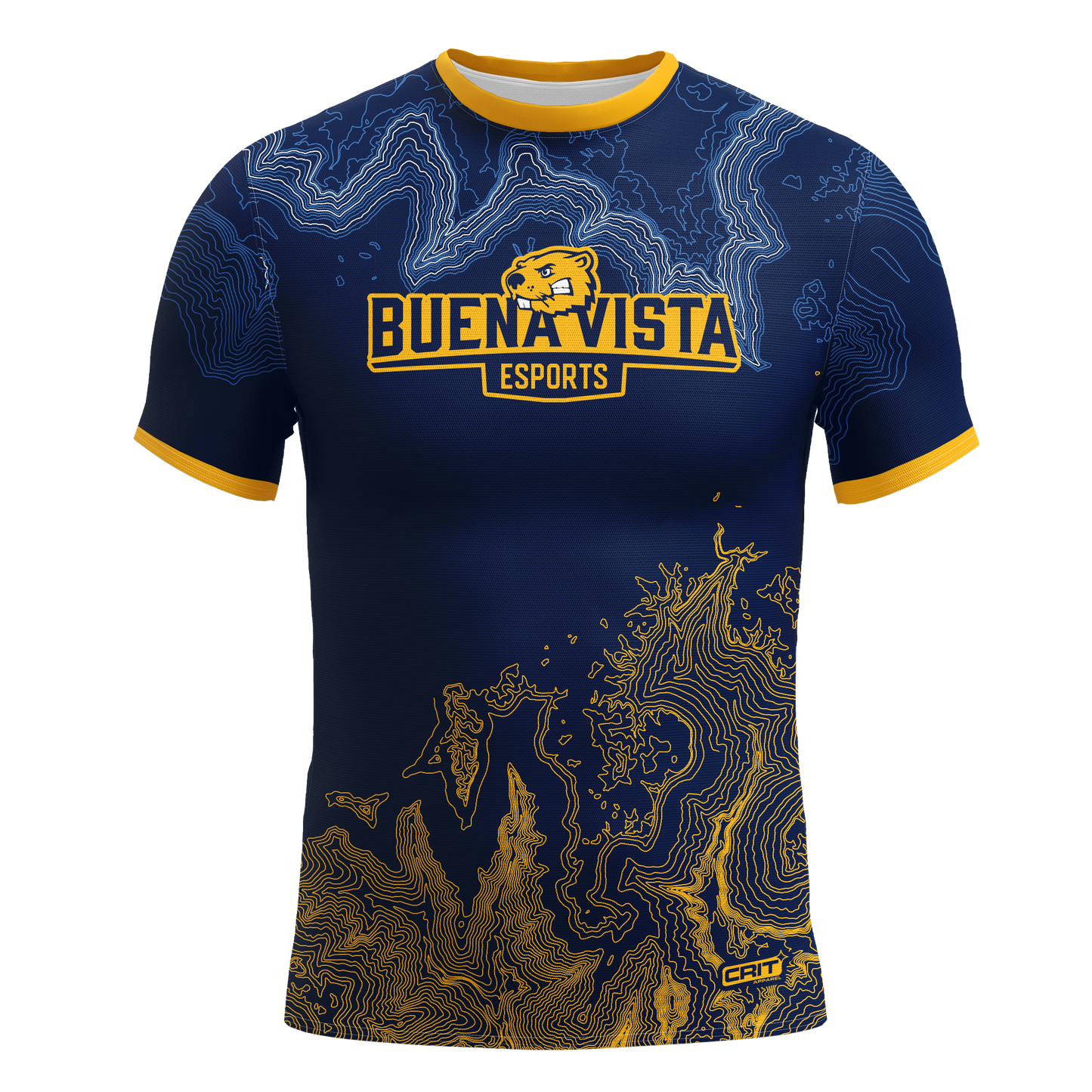 Buena Vista University Jersey