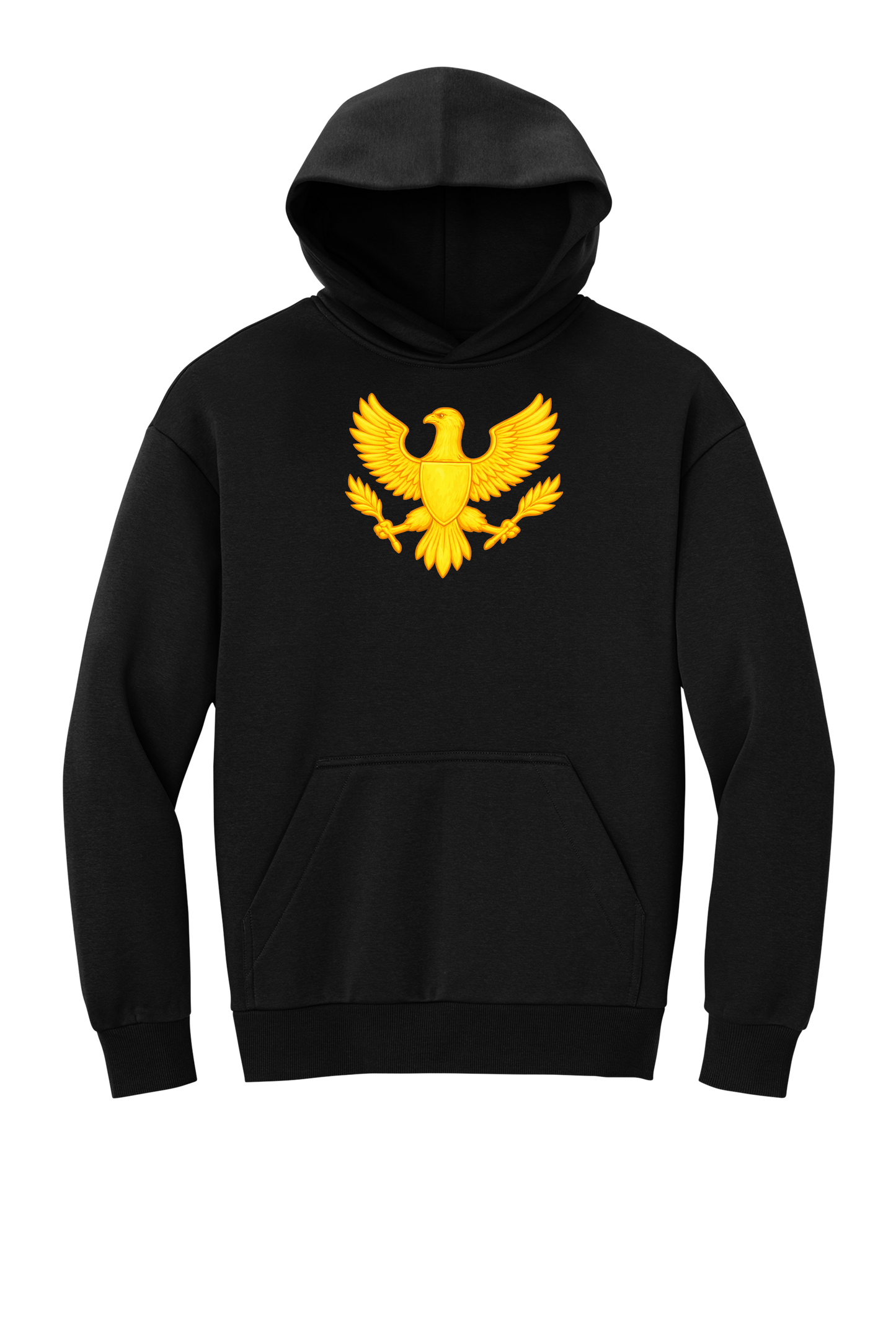 SPCIron Black Hoodie