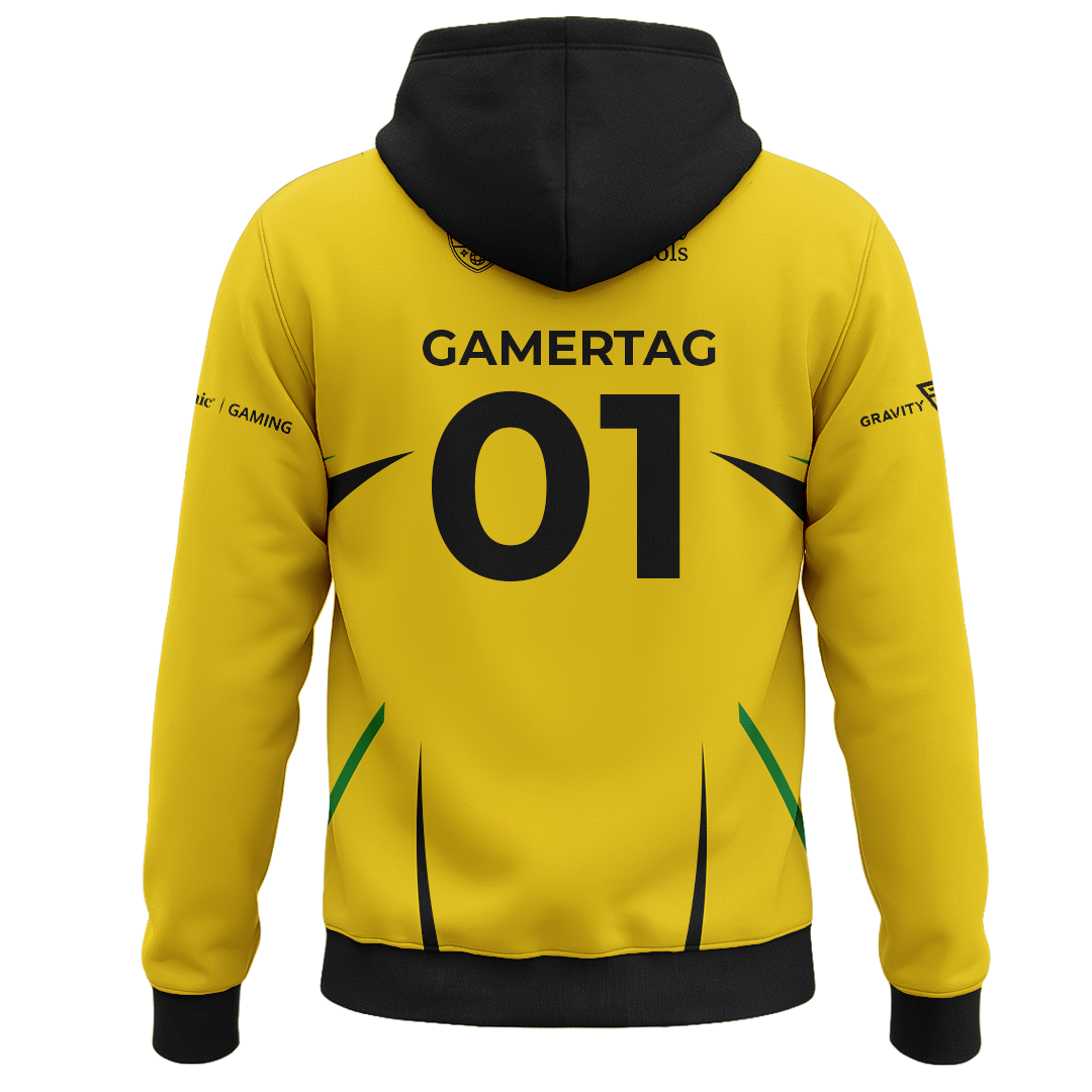 Arlington Elementary Sub Hoodie