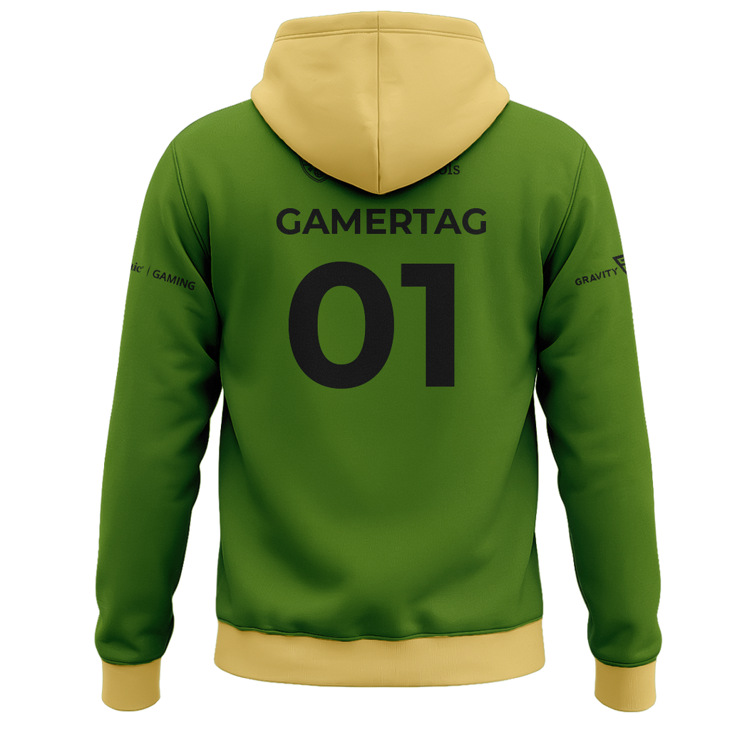 Ashland Elementary Sub Hoodie