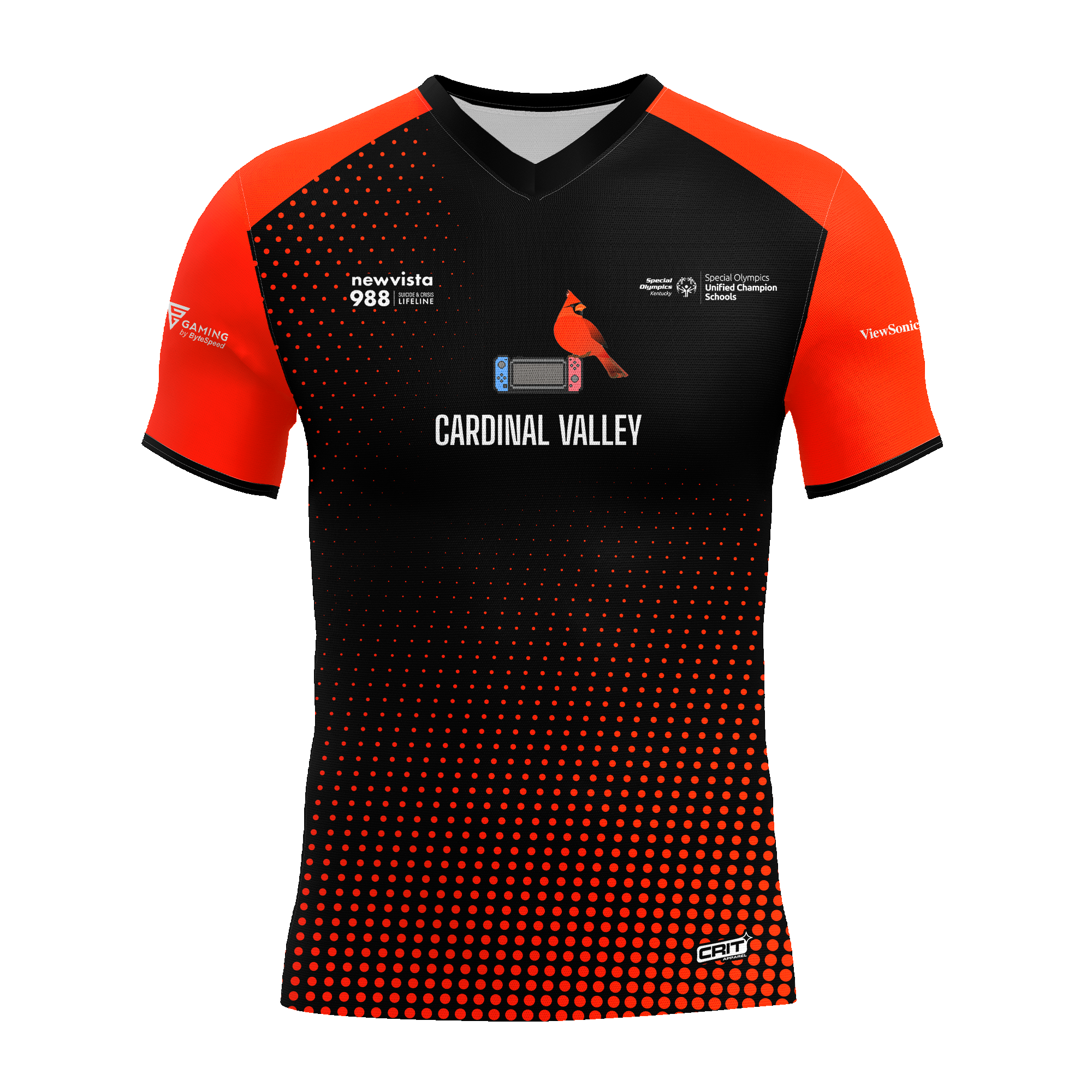 Cardinal Valley Elementary Jersey Private