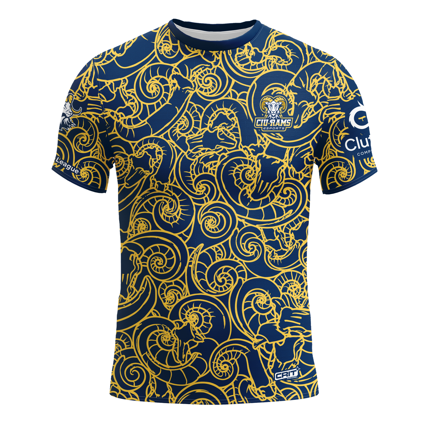 Columbia International University Alternate Jersey