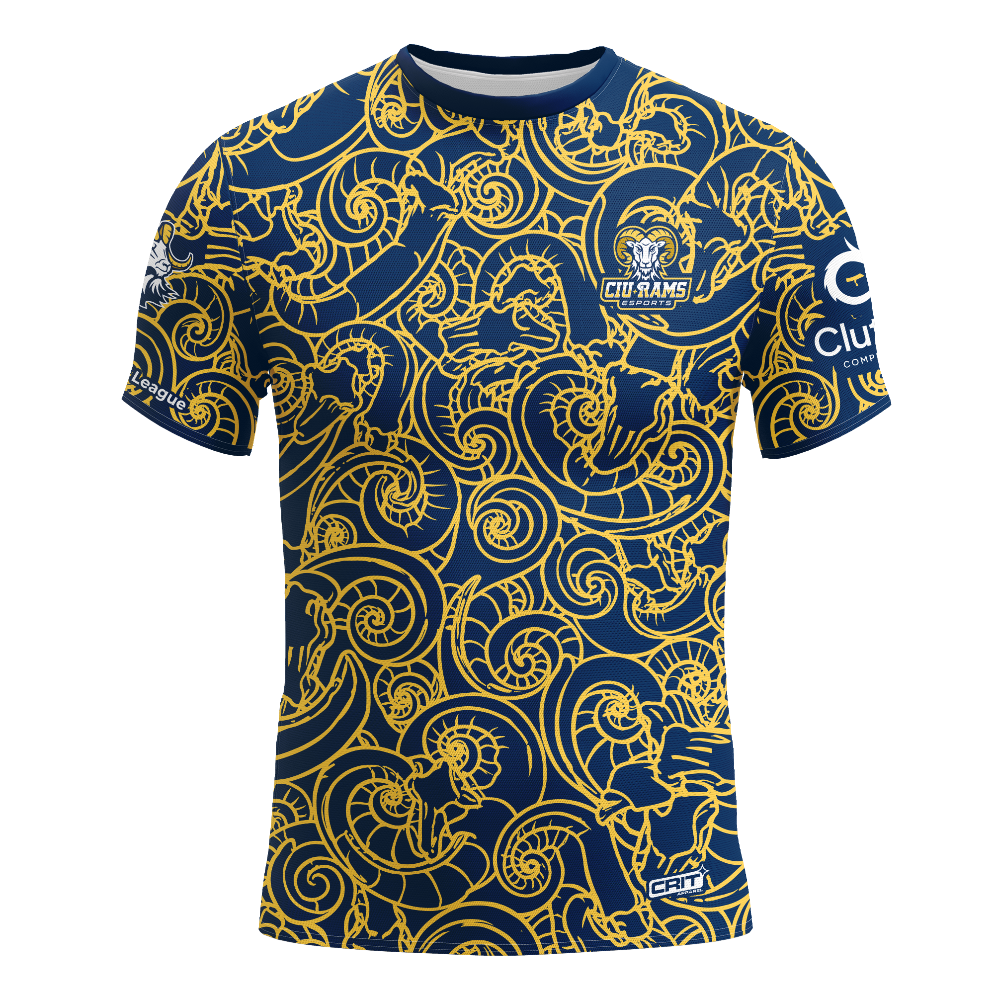 Columbia International University Alternate Jersey