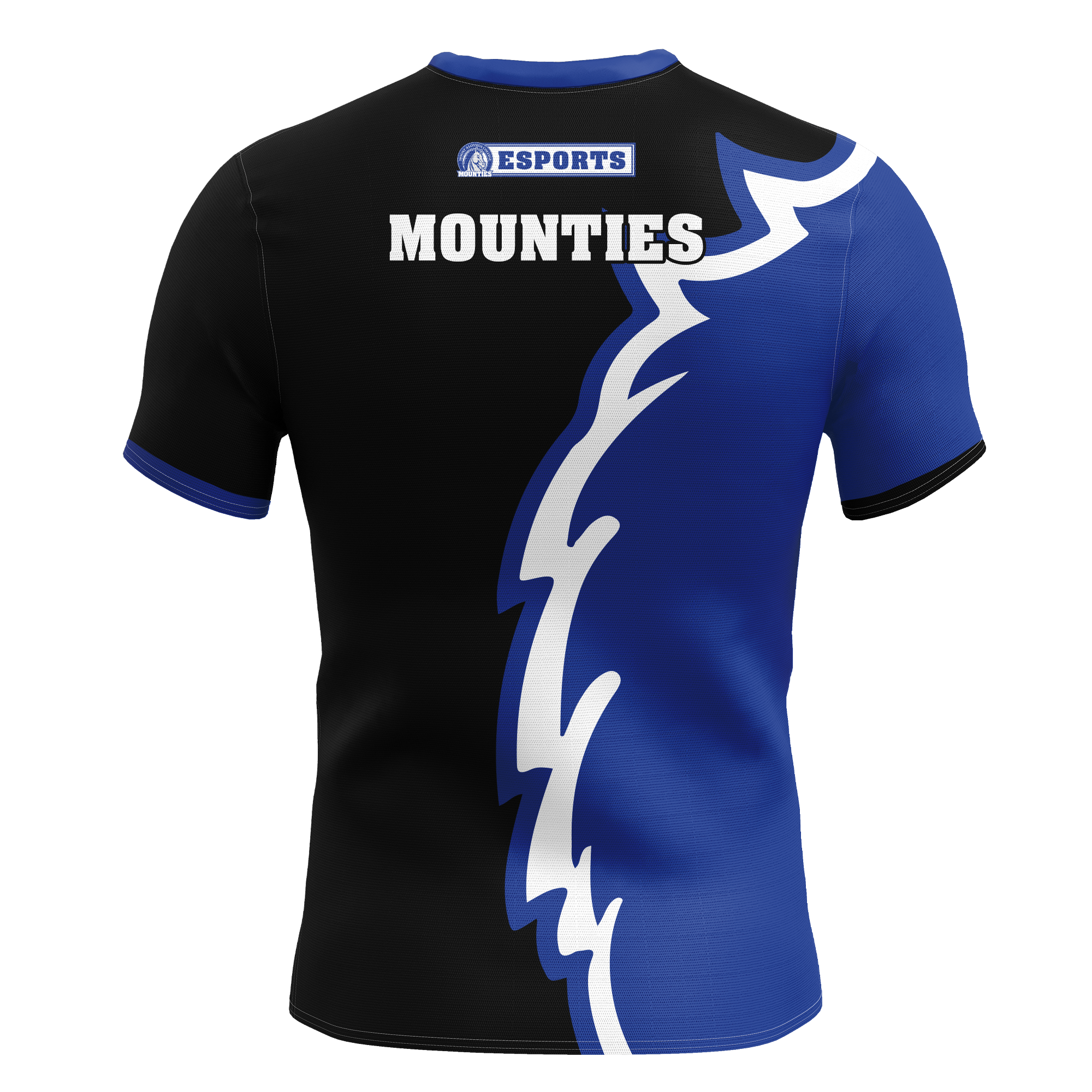 Mount Aloysius Jersey