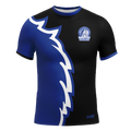 Mount Aloysius Jersey