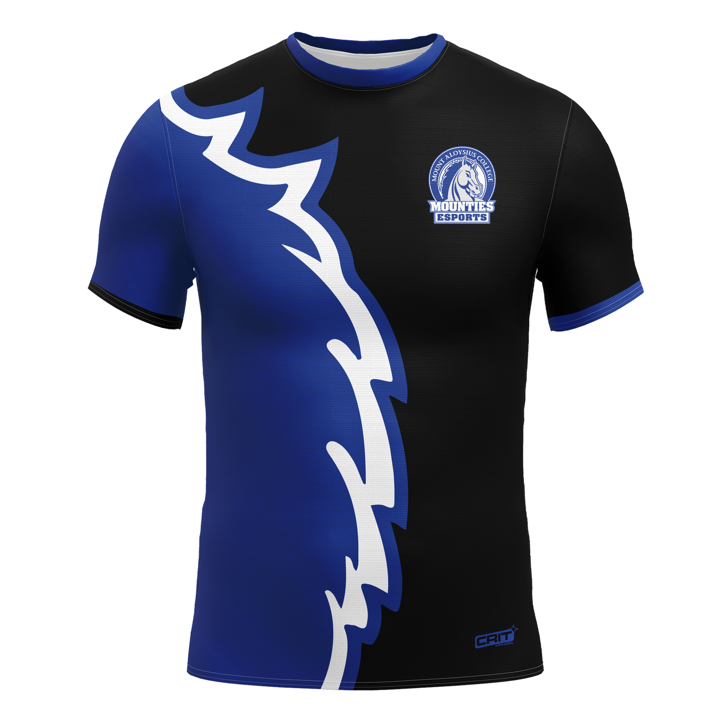 Mount Aloysius Jersey