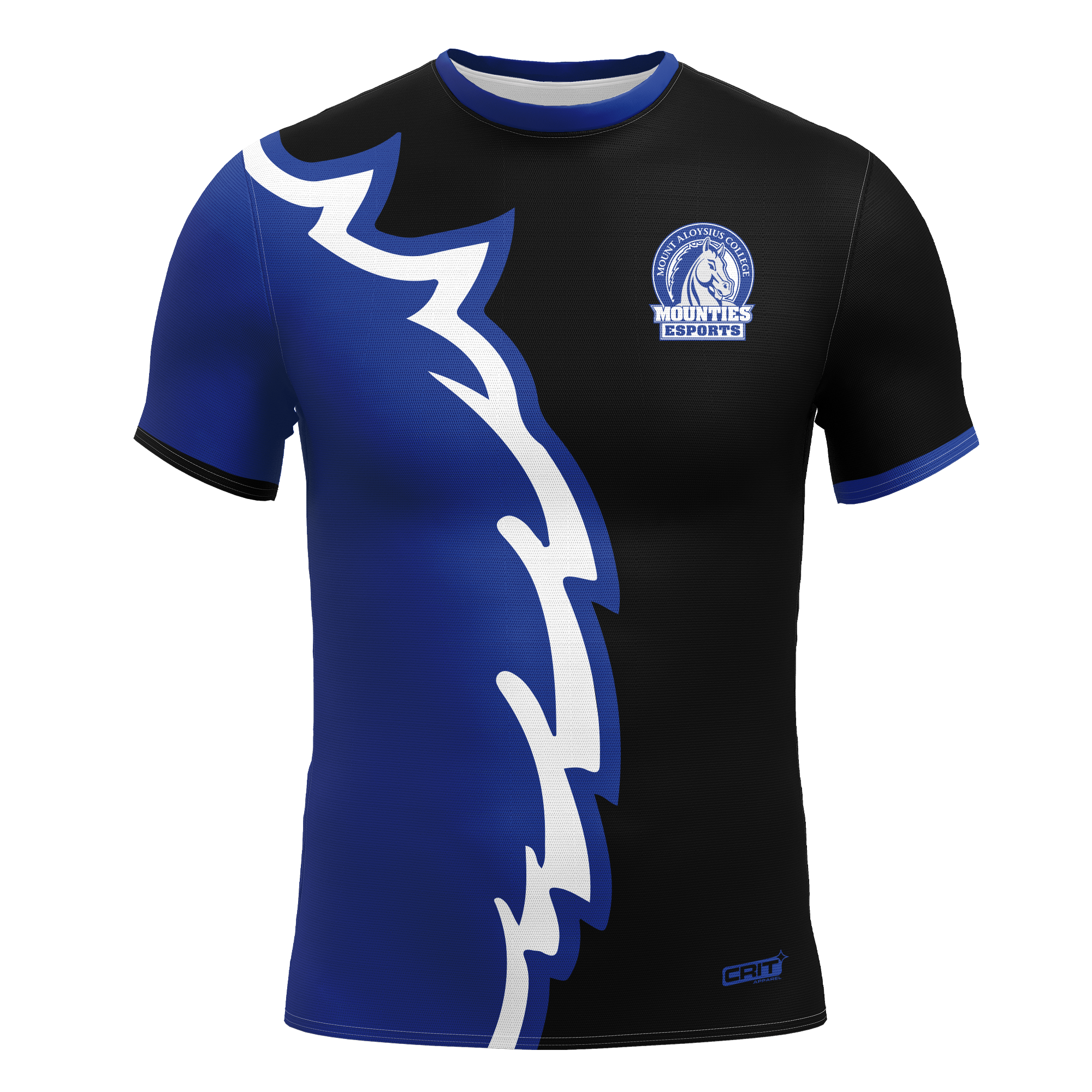Mount Aloysius Jersey