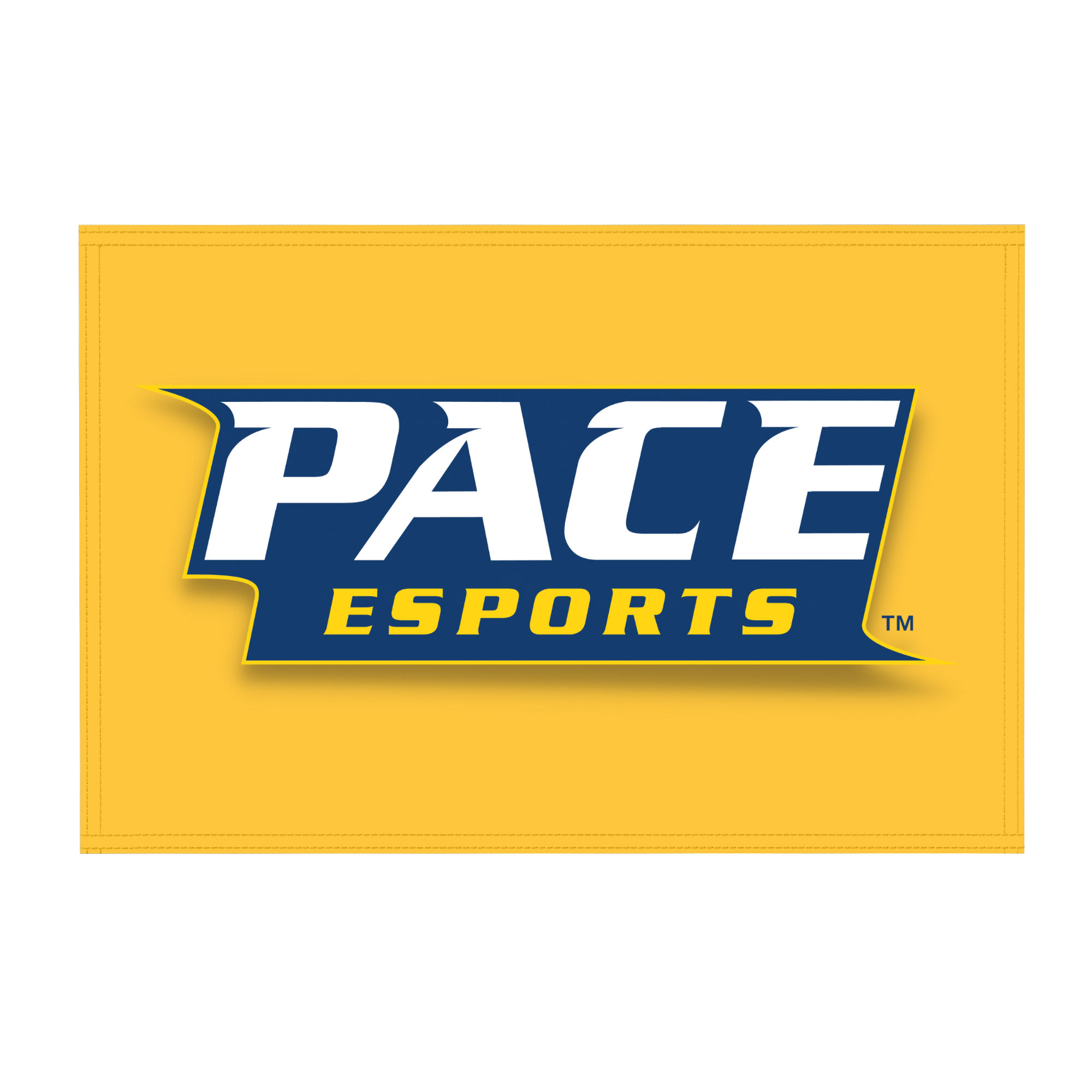 Pace University Flag