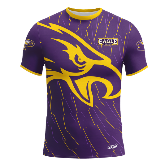 Pecos ISD Jersey