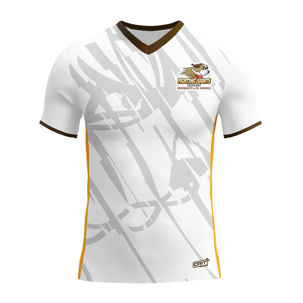 University of St. Francis Jersey