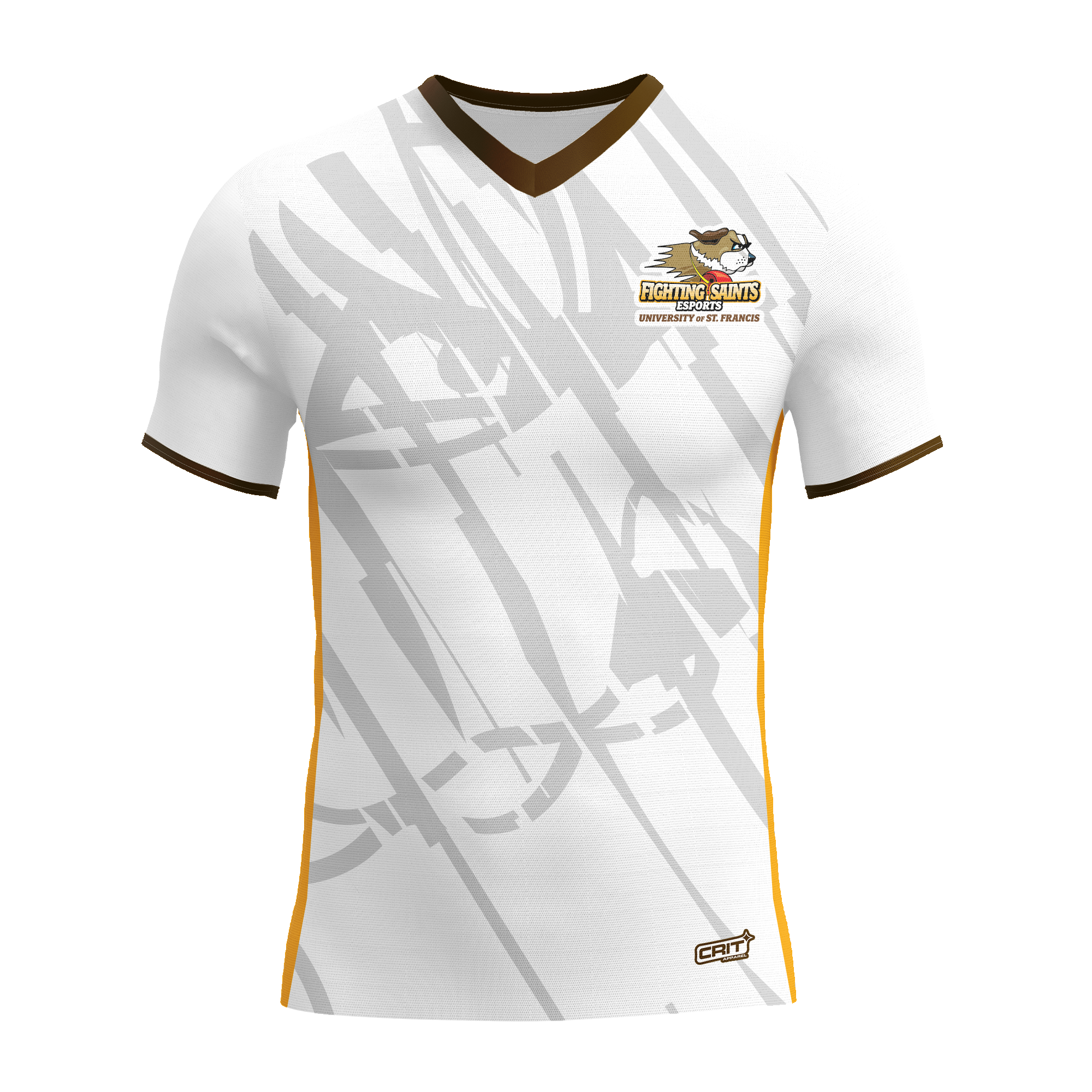 University of St. Francis Jersey