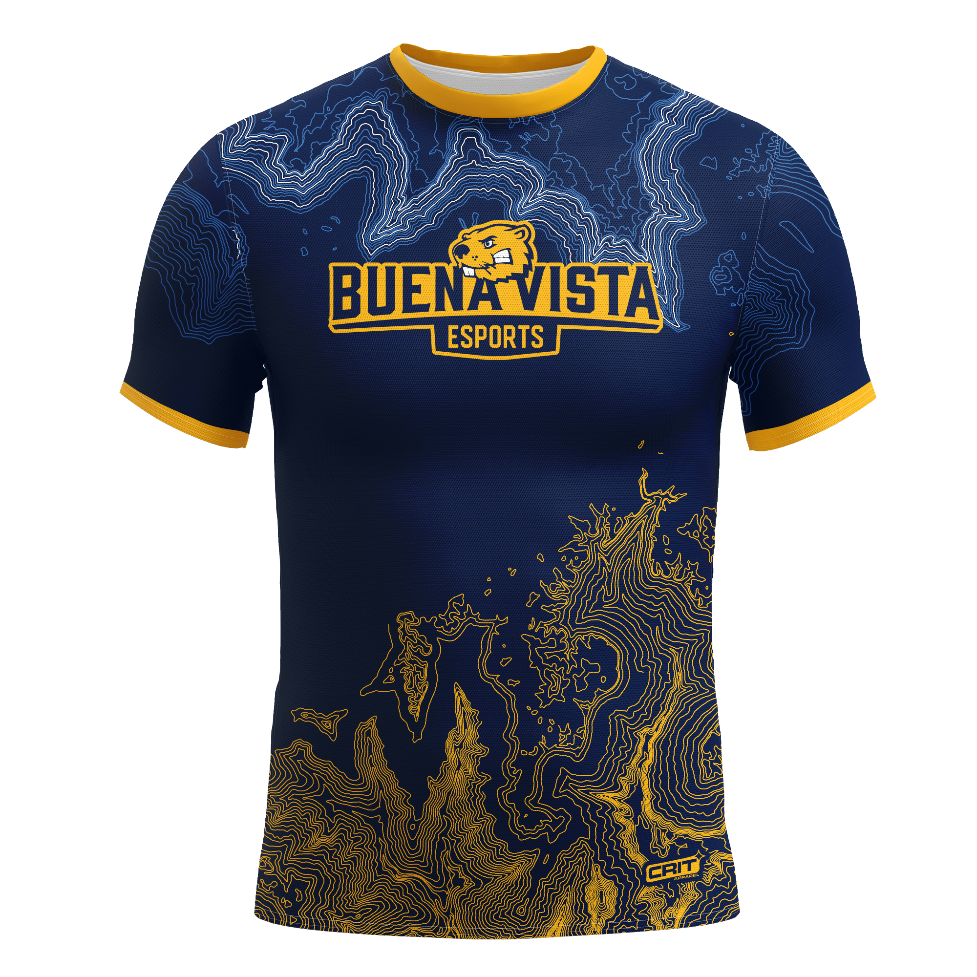 Buena Vista University Jersey