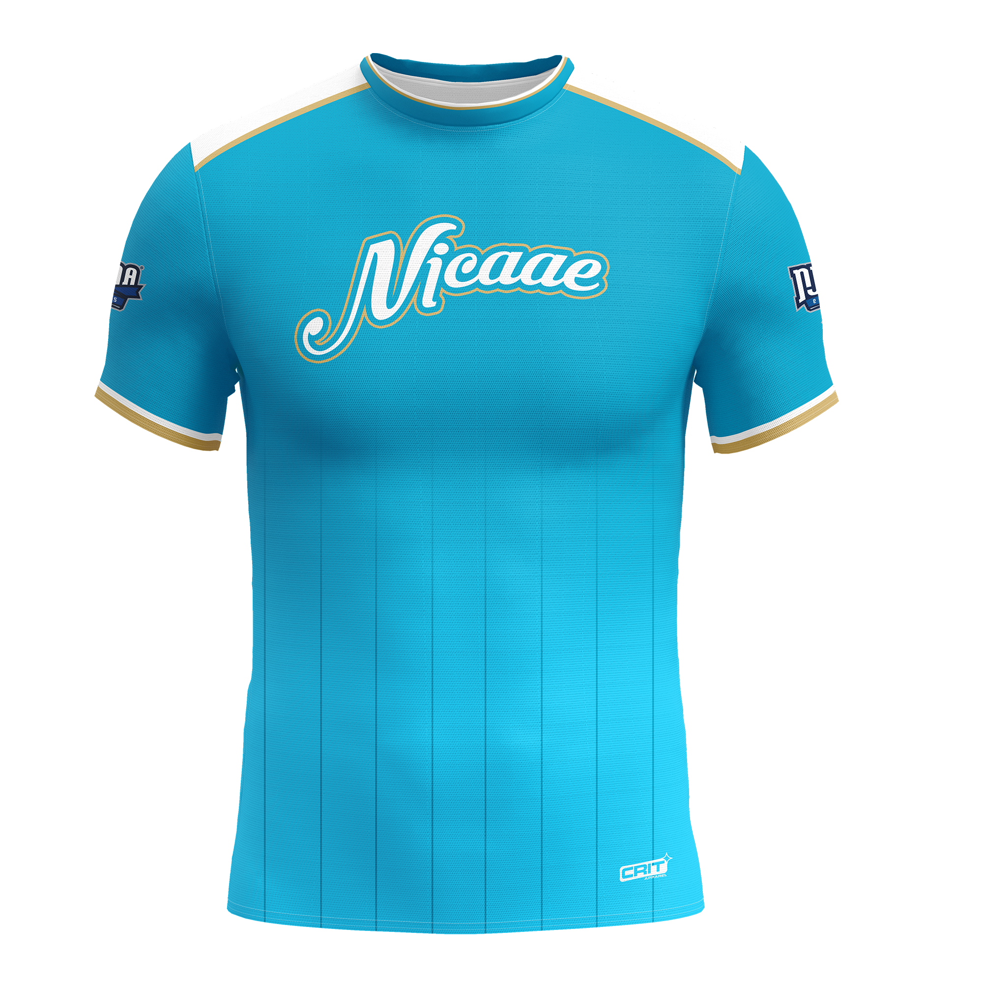 NJCAAE Jersey