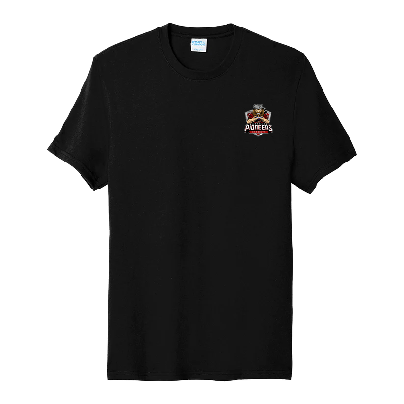 North Arkansas College Blend Tee