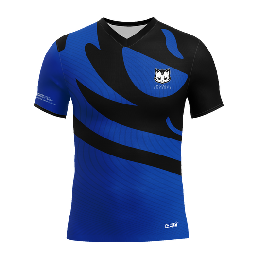 Paradise Valley Community College Public Jersey