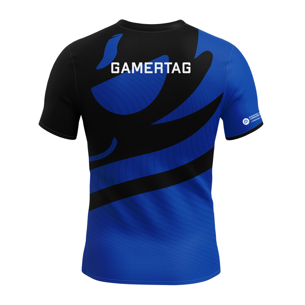 Paradise Valley Community College Public Jersey