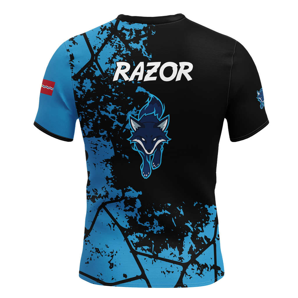 St Louis Community College Jersey