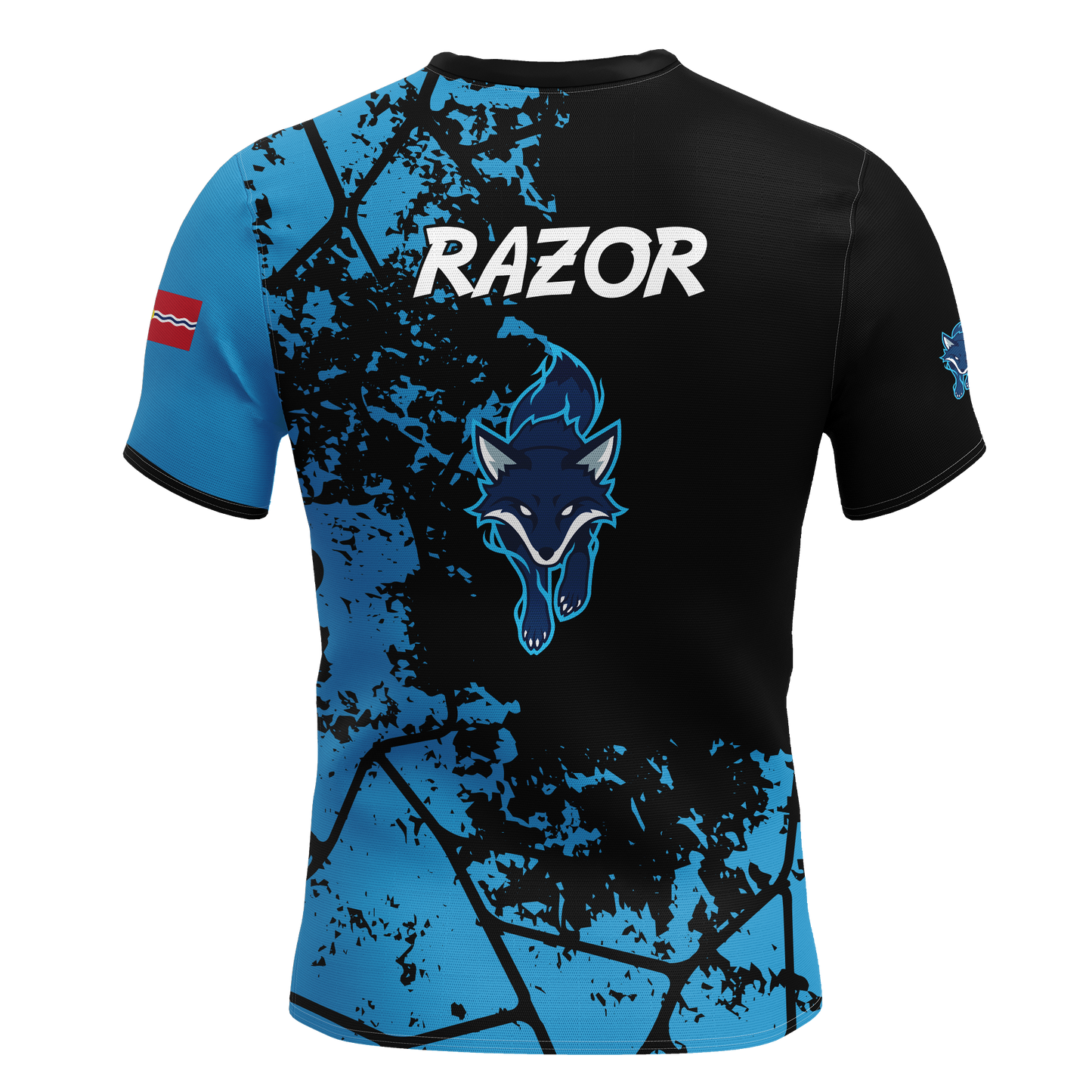 St Louis Community College Jersey