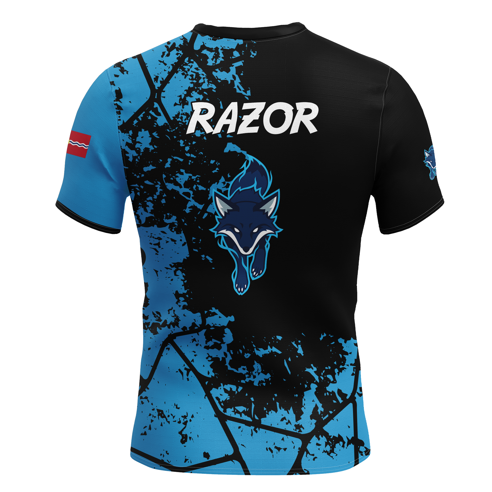 St Louis Community College Jersey