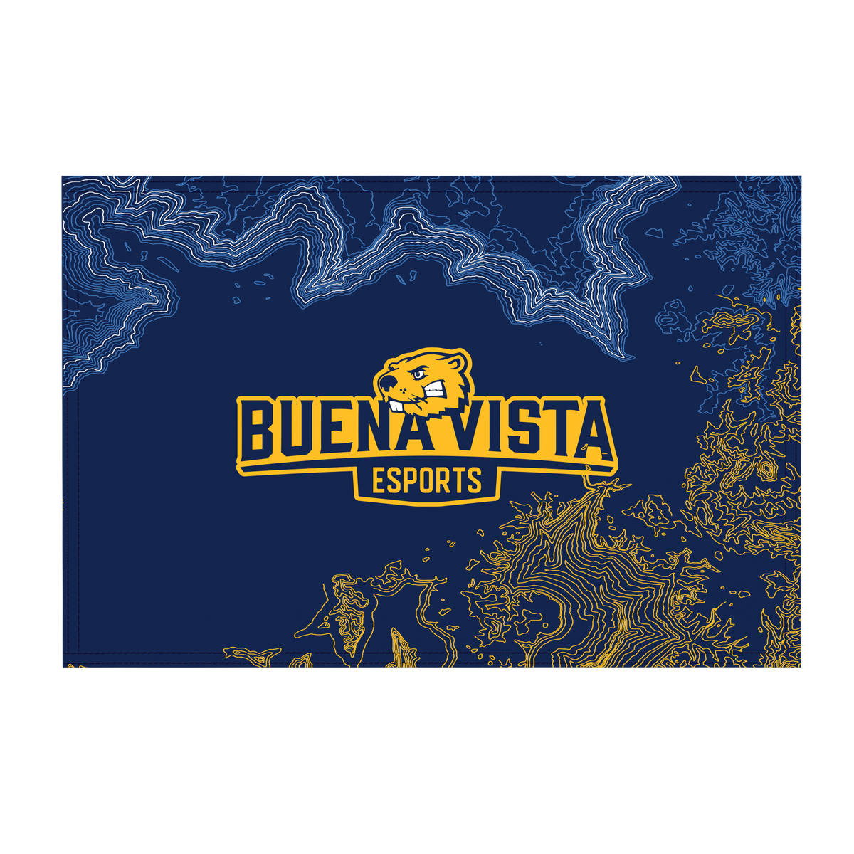 Buena Vista University Flag