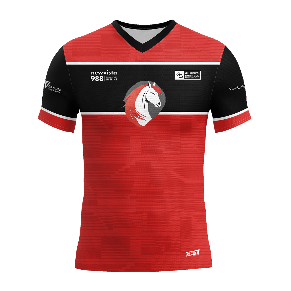 Squires Elementary Jersey