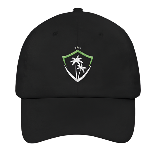 VIBE Esports Dad Hat