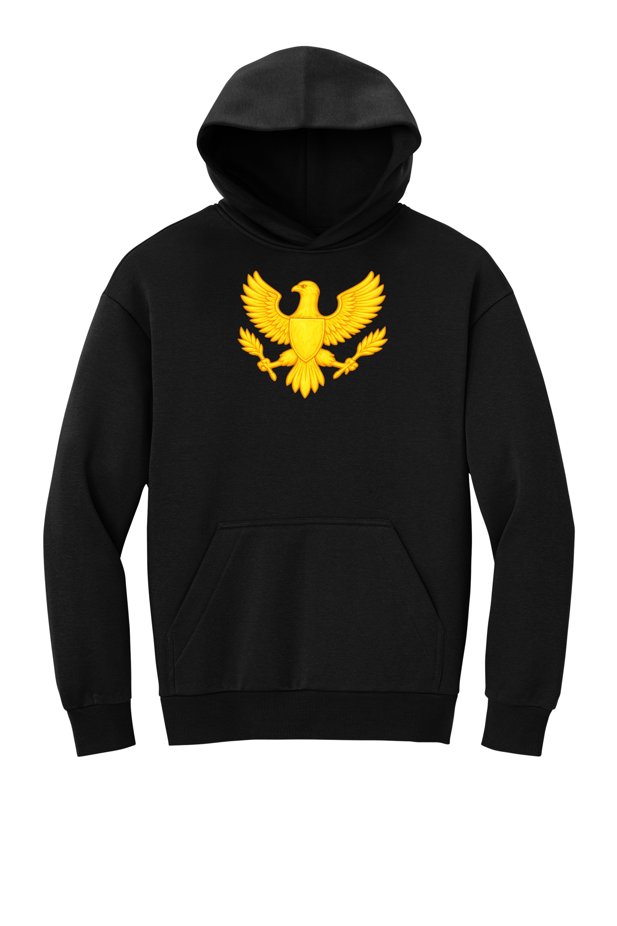 SPCIron Black Hoodie