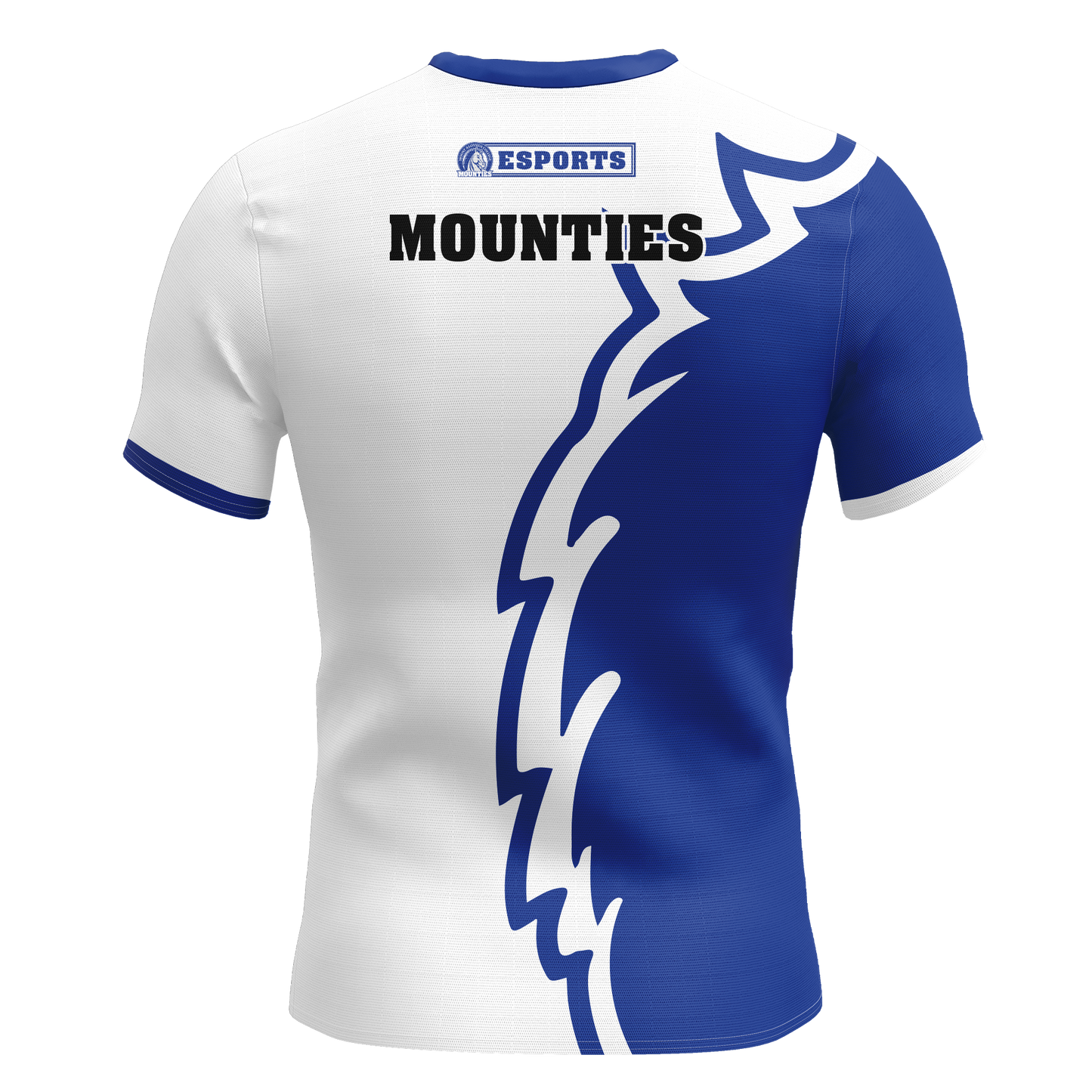 Mount Aloysius Jersey