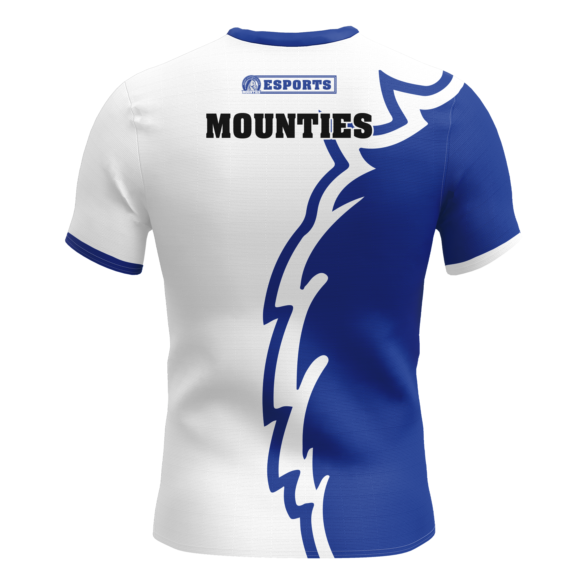Mount Aloysius Jersey