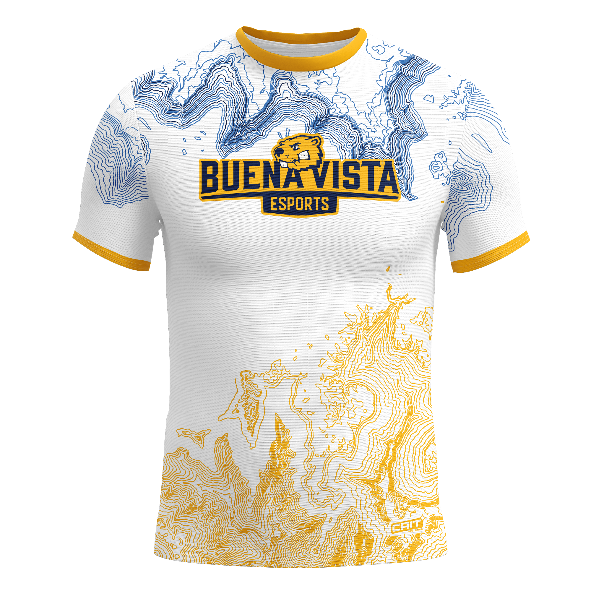 Buena Vista University Alternate Jersey
