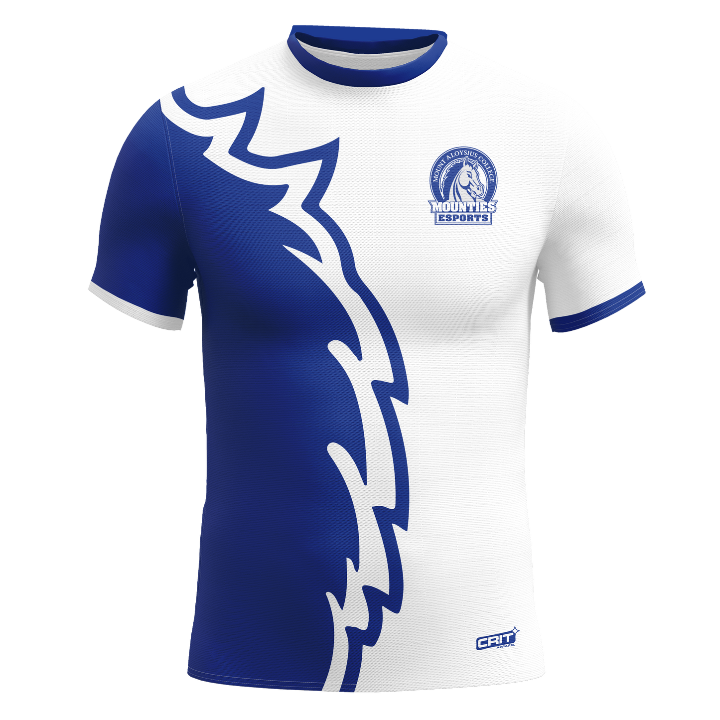 Mount Aloysius Jersey