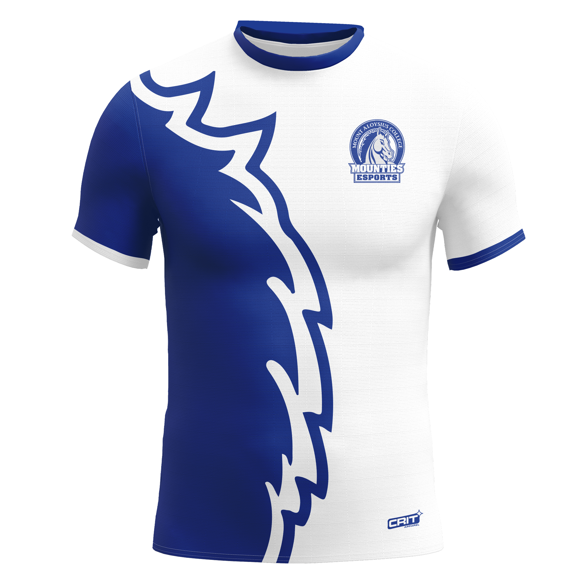 Mount Aloysius Jersey