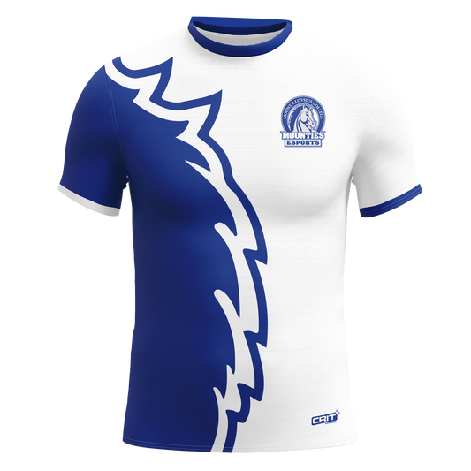 Mount Aloysius Jersey